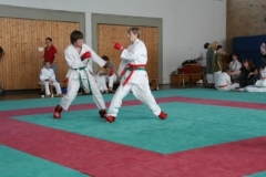 ju-jutsu_20130623_1023368128