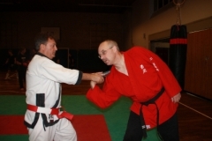 ju-jutsu_20130623_1109398940