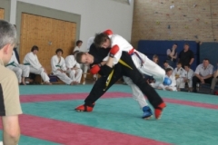 ju-jutsu_20130623_1241747512