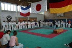 ju-jutsu_20130623_1256982069