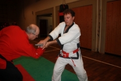 ju-jutsu_20130623_1338356626