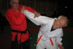ju-jutsu_20130623_1409982709