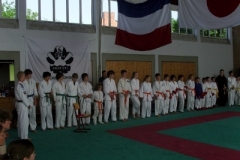 ju-jutsu_20130623_1532879721