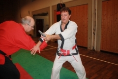 ju-jutsu_20130623_1603242312