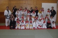 ju-jutsu_20130623_1712892852