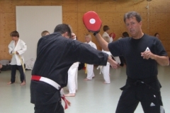 ju-jutsu_20130623_1835411974