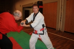 ju-jutsu_20130623_1885452358