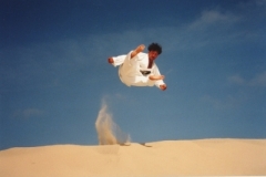 ju-jutsu_20130623_1997485874