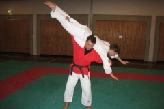 ju-jutsu_20130623_1134650000
