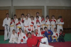 ju-jutsu_20130623_1211527239