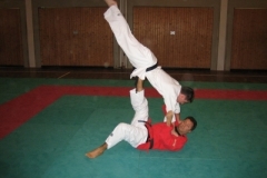 ju-jutsu_20130623_1233165220