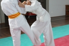 ju-jutsu_20130623_1348590179