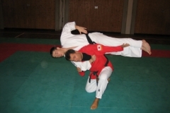 ju-jutsu_20130623_1468296430