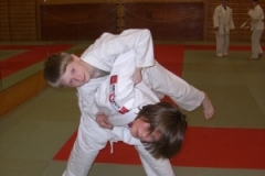 ju-jutsu_20130623_1658380445