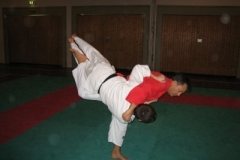 ju-jutsu_20130623_1836973744