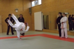 ju-jutsu_20130623_1910926711