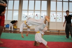 ju-jutsu_20130623_1912953001