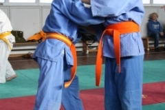 ju-jutsu_20130623_1929711406