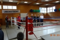 kickboxen_-_lm_-_sh_2_20140503_2020398735