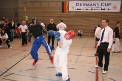 kickboxen_20130622_1101641783