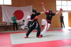 kickboxen_20130622_1192153623