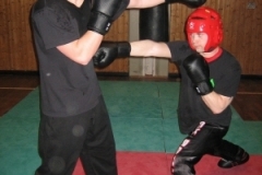 kickboxen_20130622_1307514686
