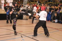 kickboxen_20130622_1339528997