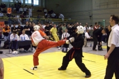 kickboxen_20130622_1370977232