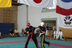 kickboxen_20130622_1592122839