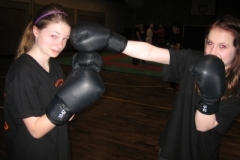 kickboxen_20130622_1648505975