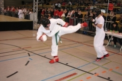 kickboxen_20130622_1671613625
