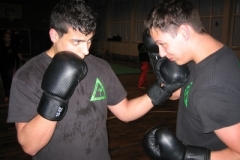 kickboxen_20130622_1755147627