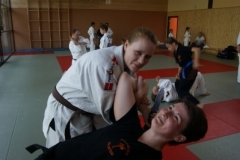 sommerschule_2013_blankenheim_-_jiu-jutsu_20130806_1004842090