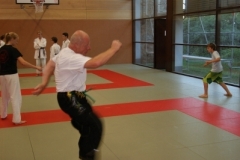 sommerschule_2013_blankenheim_-_jiu-jutsu_20130806_1019035048