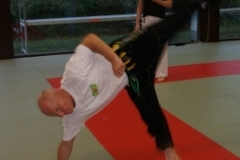 sommerschule_2013_blankenheim_-_jiu-jutsu_20130806_1026098376
