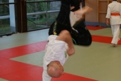 sommerschule_2013_blankenheim_-_jiu-jutsu_20130806_1042366495
