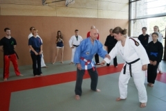 sommerschule_2013_blankenheim_-_jiu-jutsu_20130806_1071397752