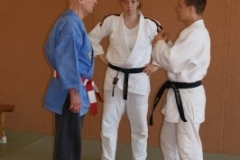 sommerschule_2013_blankenheim_-_jiu-jutsu_20130806_1079386737