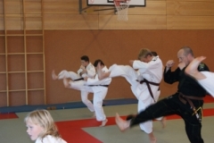 sommerschule_2013_blankenheim_-_jiu-jutsu_20130806_1136111862