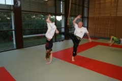 sommerschule_2013_blankenheim_-_jiu-jutsu_20130806_1156678451