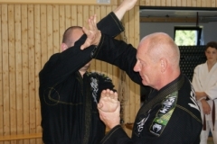 sommerschule_2013_blankenheim_-_jiu-jutsu_20130806_1163971465