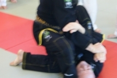 sommerschule_2013_blankenheim_-_jiu-jutsu_20130806_1223328885