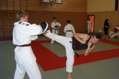 sommerschule_2013_blankenheim_-_jiu-jutsu_20130806_1238284785