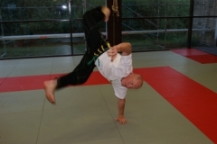 sommerschule_2013_blankenheim_-_jiu-jutsu_20130806_1239807887