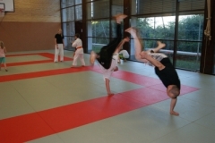 sommerschule_2013_blankenheim_-_jiu-jutsu_20130806_1259637412