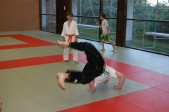 sommerschule_2013_blankenheim_-_jiu-jutsu_20130806_1274369333