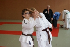 sommerschule_2013_blankenheim_-_jiu-jutsu_20130806_1282547223