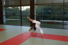 sommerschule_2013_blankenheim_-_jiu-jutsu_20130806_1300038864