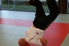 sommerschule_2013_blankenheim_-_jiu-jutsu_20130806_1314562511