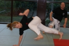 sommerschule_2013_blankenheim_-_jiu-jutsu_20130806_1367078935